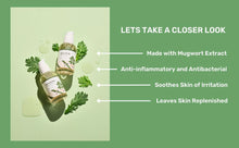Load image into Gallery viewer, Round Lab Mugwort Calming Serum 30ml