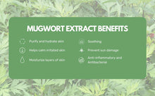 Load image into Gallery viewer, Round Lab Mugwort Calming Serum 30ml