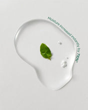 Load image into Gallery viewer, Innisfree Green Tea Seed Serum 80ml