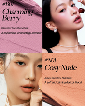 Load image into Gallery viewer, tfit Fluffy Velvet Cushion Cheek 4g