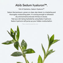 Load image into Gallery viewer, Abib Sedum Hyaluron Pad Hydrating Touch 75EA