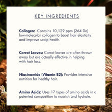 Load image into Gallery viewer, Treecell Day Collagen Shampoo Morning of Resort 360ml