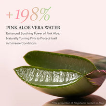 Load image into Gallery viewer, April Skin Pink Aloe Facial Polish Cleanser 120g