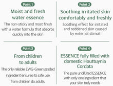 Load image into Gallery viewer, Mixsoon Heartleaf Essence 100ml