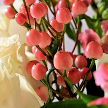 Load image into Gallery viewer, nesh Pomegranate Biome Scalp Boosting Shampoo 480ml