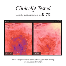 Load image into Gallery viewer, April Skin Pink Aloe Facial Polish Cleanser 120g