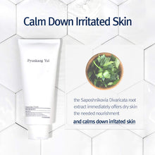 Load image into Gallery viewer, Pyunkang Yul Cleansing Foam 150ml