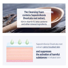 Load image into Gallery viewer, Pyunkang Yul Cleansing Foam 150ml