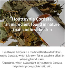 Load image into Gallery viewer, Mixsoon Heartleaf Essence 100ml