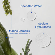 Load image into Gallery viewer, PURITO Deep Sea Pure Water Cream 50g