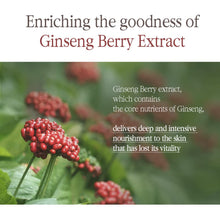 Load image into Gallery viewer, Pyunkang Yul Black Tea Boosting Serum 45ml - Exp: 16.04.2024