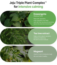 Load image into Gallery viewer, FATION Real Fit Heartleaf Calming Mask 5EA