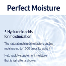 Load image into Gallery viewer, Pyunkang Yul Intensive Ceramide Lotion 290ml