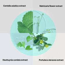 Load image into Gallery viewer, ILSO Super Melting Sebum Softener 150ml
