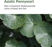 Load image into Gallery viewer, Round Lab Mugwort Calming Toner 300ml