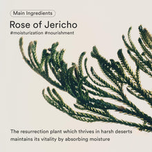 Load image into Gallery viewer, Abib Jericho rose bifida serum Bifida Serum Firming Drop 50ml