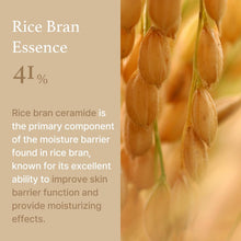 Load image into Gallery viewer, [1+1] I&#39;m From Rice Cream 50g
