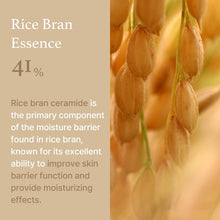 Load image into Gallery viewer, I'm From Rice Cream 50g