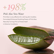 Load image into Gallery viewer, April Skin Pink Aloe Facial Polish Cleanser 120g
