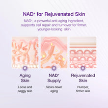 Load image into Gallery viewer, Numbuzin No.9 NAD Bio Lifting Essence 50ml