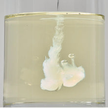 Load image into Gallery viewer, Round Lab Soybean Nourishing Cleansing Oil 200ml