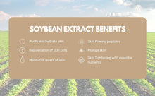 Load image into Gallery viewer, Round Lab Soybean Nourishing Serum 30ml