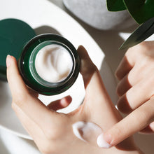 Load image into Gallery viewer, Innisfree Green Tea Seed Cream 50ml Exp 2026 03 13
