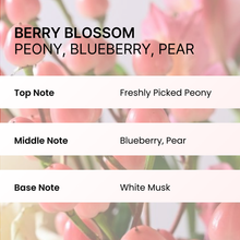 Load image into Gallery viewer, nesh Pomegranate Biome Scalp Boosting Shampoo 480ml