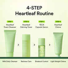 Load image into Gallery viewer, Abib Heartleaf Calming Trial Kit