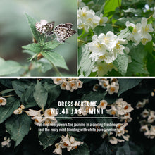 Load image into Gallery viewer, W.DRESSROOM Dress & Living Clear Perfume No.41 Jas-Mint 70ml