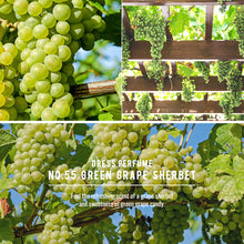 Load image into Gallery viewer, W.DRESSROOM Dress & Living Clear Perfume No.55 Green Grape Sherbet 70ml