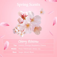 Load image into Gallery viewer, KUNDAL Caffeine Shampoo 500ml #Cherry Blossom