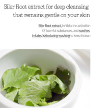 Load image into Gallery viewer, Pyunkang Yul Cleansing Foam 150ml
