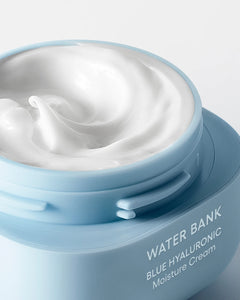 Laneige Water Bank Blue Hyaluronic Moisture Cream 20ml