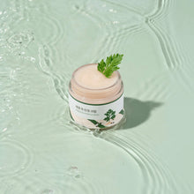 Load image into Gallery viewer, Round Lab Mugwort Calming Cream 80ml