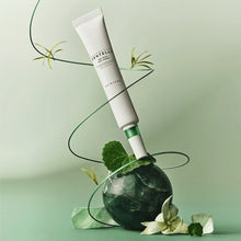 Load image into Gallery viewer, Skin1004 Madagascar Centella Tea-Trica Spot Cream 20ml