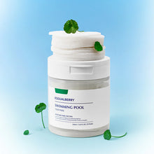 Load image into Gallery viewer, EQQUALBERRY Swimming Pool Toner Pads 70EA