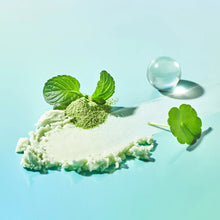 Load image into Gallery viewer, Tocobo Cica Cooling Sun Stick