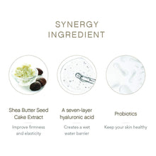 Load image into Gallery viewer, Benestem TONER ; energy booster 120ml 20220214