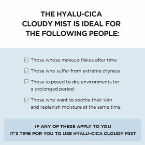 [1+1] Skin1004 Madagascar Centella Hyalu-Cica Cloudy Mist 120ml