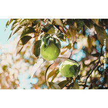 Load image into Gallery viewer, SNP Prep VITARONIC Ampoule Sheet Mask 10EA