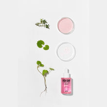 Load image into Gallery viewer, Rovectin Cica Care Clearing Ampoule 30ml EXP 2025 05 26