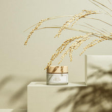 Load image into Gallery viewer, I'm From Rice Cream 50g