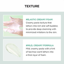 Load image into Gallery viewer, SKIN1004 Madagascar Centella Tea-Trica Bha Foam 125ml