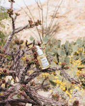 Load image into Gallery viewer, Huxley Oil; Light And More 30ml