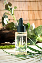 Load image into Gallery viewer, Pyunkang Yul Calming Moisture Serum 30ml