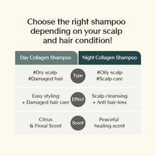 Load image into Gallery viewer, Treecell Night Collagen Shampoo Midnight Forest 360ml