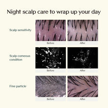 Load image into Gallery viewer, Treecell Night Collagen Shampoo Midnight Forest 360ml