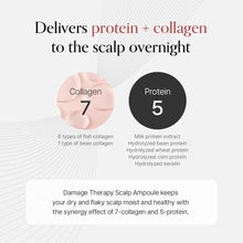 Load image into Gallery viewer, GROWUS Damage Therapy Scalp Ampoule 50ml