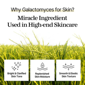 mixsoon Galactomyces Toner Pad 120EA